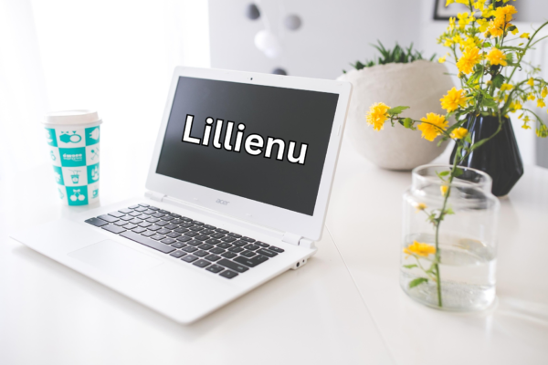 The Mystery of Lillienu: Meaning, Popularity, and Impact